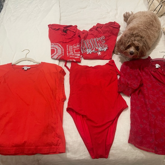 2 NWT Berlook size Medium One Piece Bathing Suits - Picture 7 of 7